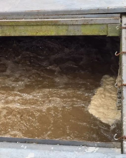 1679283743139642.jpg 微信圖片_20230320101438.jpg